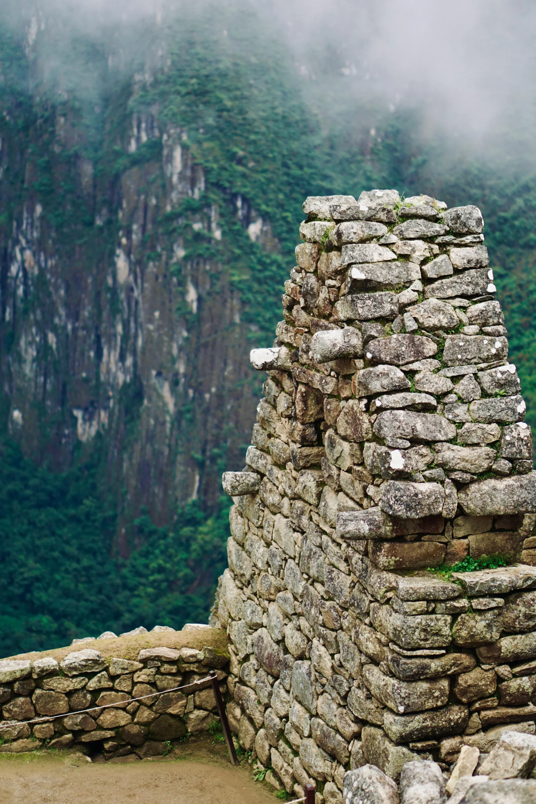 pexels-augusto-baldera-394880310-16924395 pexels-augusto-baldera-394880310-16924395